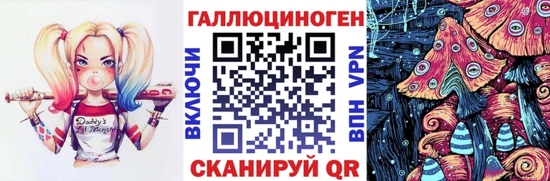 KRAKEN как зайти  Новозыбков  Галлюциногенные грибы Magic Shrooms 