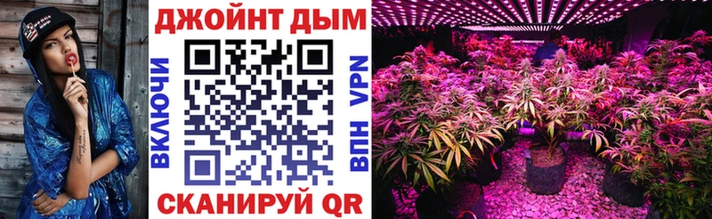 Канабис SATIVA & INDICA  наркошоп  Новозыбков 